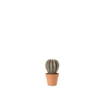 Cactus bolvormig+pot kunststof groen/terracotta large