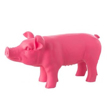 Varken buiten mgo roze