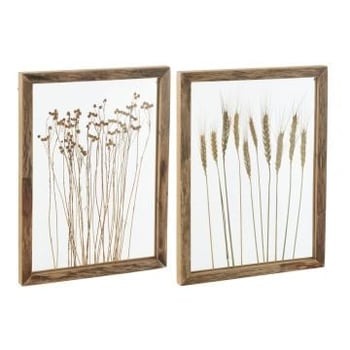 Wanddecoratie graan dennenhout/glas transparant/bruin assortiment van twee