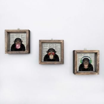 Evila Originals 3-Delig Ingelijst MDF Schilderij | UV Bedrukt | Veelkleurig
