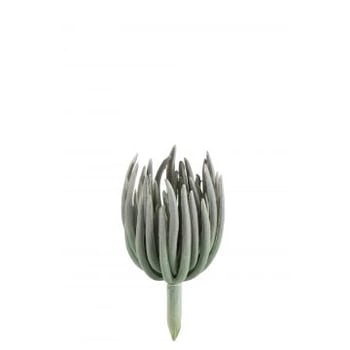 Echeveria plastiek mat groen