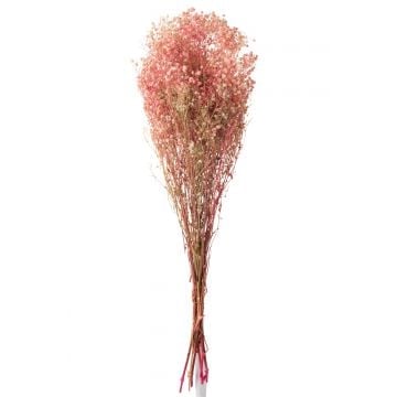 Bundel gypsophilia gedroogd roze