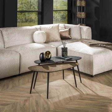 Salontafelset Mariola organisch-metallic/grijs