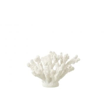 Koraal polyresine wit medium