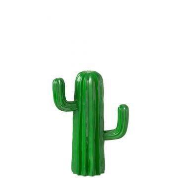 Cactus polyresine groen small