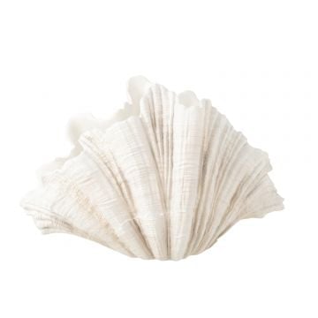Deco vaas mossel schelp polyresine gebroken wit