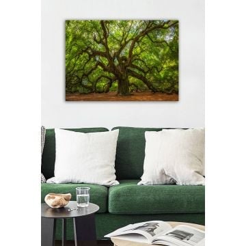 Bract Decoratief Canvas Schilderij | 100 anvas | Houten Kader | 50x70cm | Veelkleurig