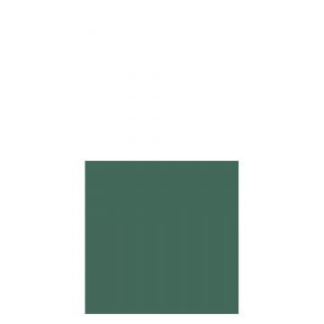 Pak 16 servetten textielpapier groen small