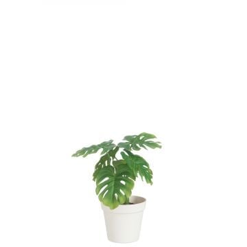 Blad philo in pot plastiek groen/wit medium