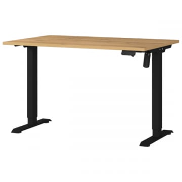 Elektrisch verstelbaar bureau Ergoflex - 120x80x120cm - eikdecor/zwart