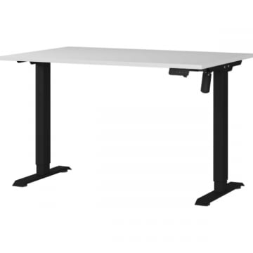 Elektrisch verstelbaar bureau Ergoflex - 120x80x120cm - lichtgrijs/zwart