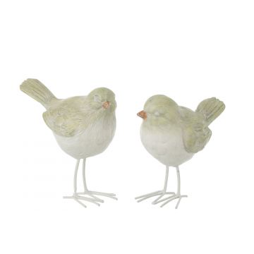 Vogel poly wit/lichtgroen large assortiment van 2