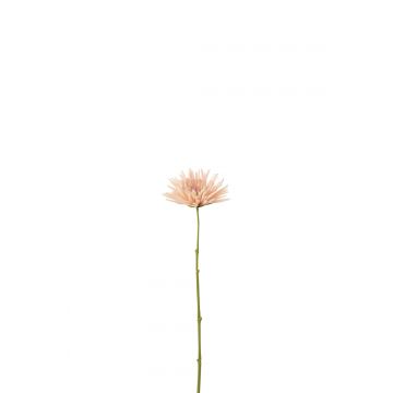 Chrysant mini plastiek wit licht roze