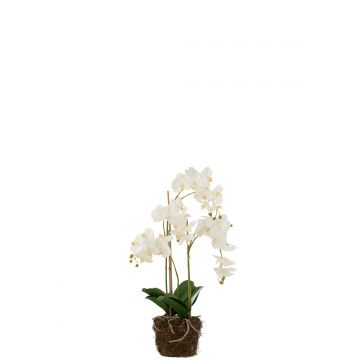 Orchidee in aarde plastiek wit/groen large