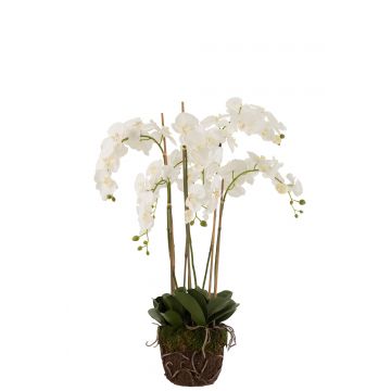 Orchidee in aarde plastiek wit/groen extra large