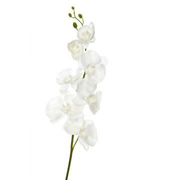 Orchidee polyester wit