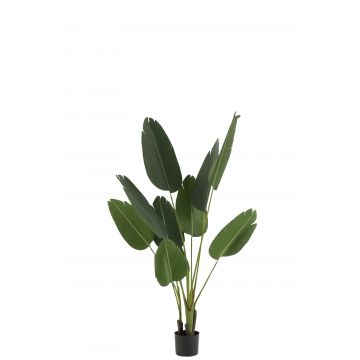Strelitzia plastique vert small