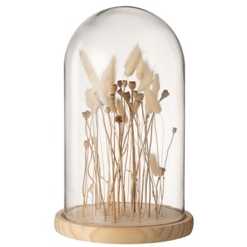 Cloche en verre sur fleurs sechées ecru/brun verre bois large