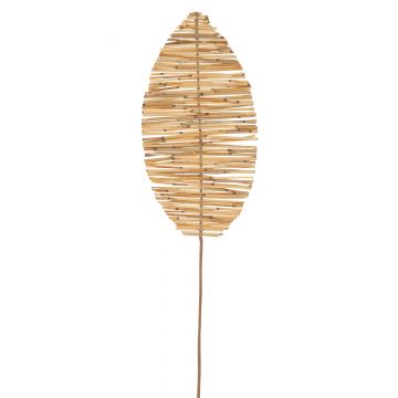 Branche & feuilles bambou branches naturel large