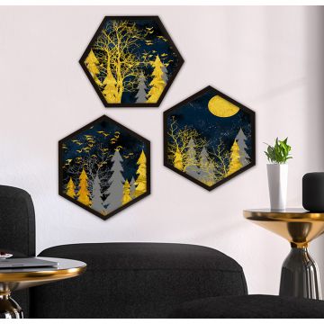Tableaux décoratifs hexagonaux | 3 pièces | Multicolore | 35x35cm