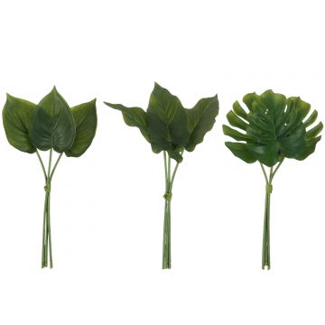 Philodendron botte plastique vert assortiment de 3