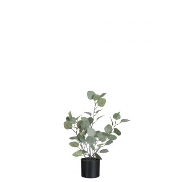 Eucalyptus in pot plastiek groen small