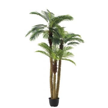 Palmboom 3delig real touch in pot plastiek groen
