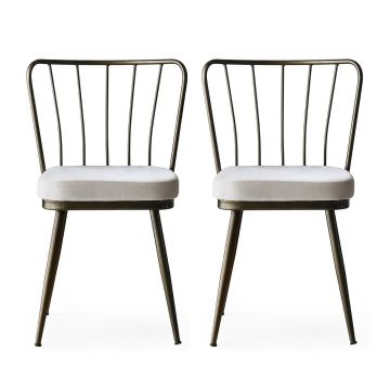 Stijlvolle en comfortabele stoelenset | metalen frame | fluwelen stof | nerts kleur