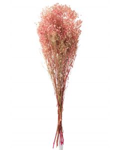 Bundel gypsophilia gedroogd roze