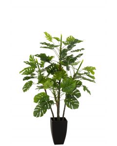 Philodendron in pot plastiek groen large