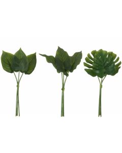 Philodendron bundel plastiek groen assortiment van 3