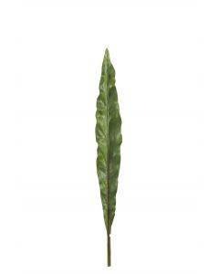 Canna blad tak plastiek groen extra large